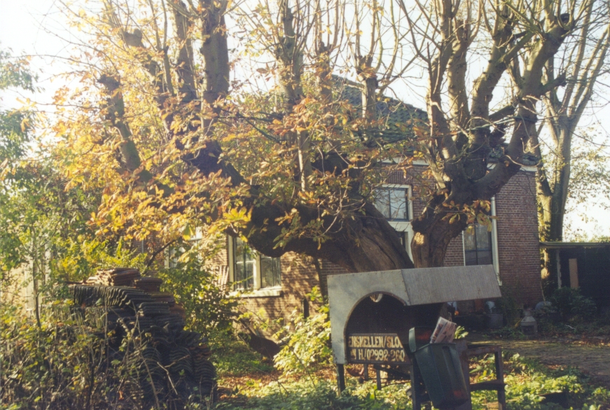 The school-building at the mound at the village of Eenigenburg